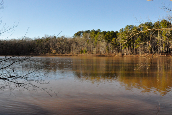 Lake Haigler