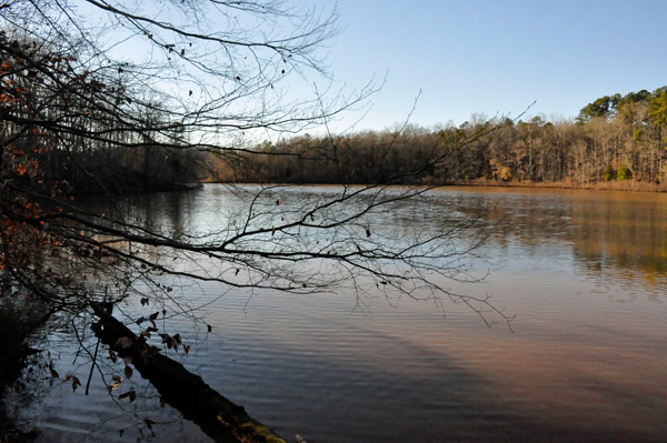 Lake Haigler