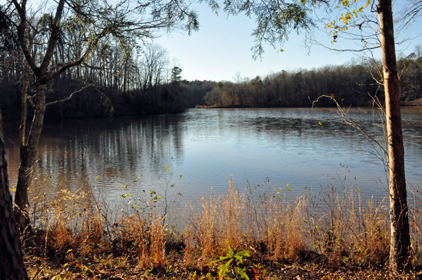 Lake Haigler