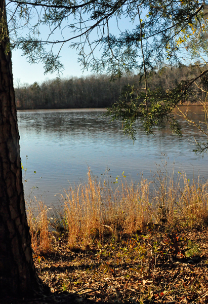 Lake Haigler