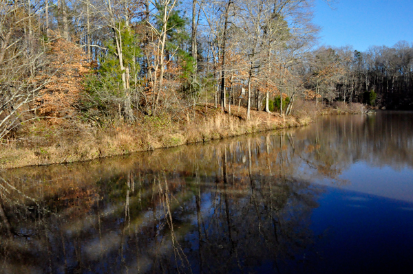 scenery by Scoville Dock