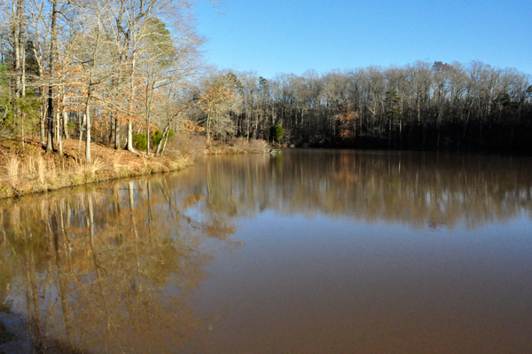 Lake Haigler at Scoville Dock