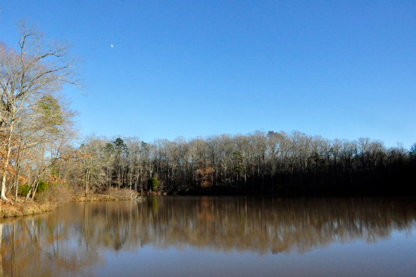 Lake Haigler at Scoville Dock