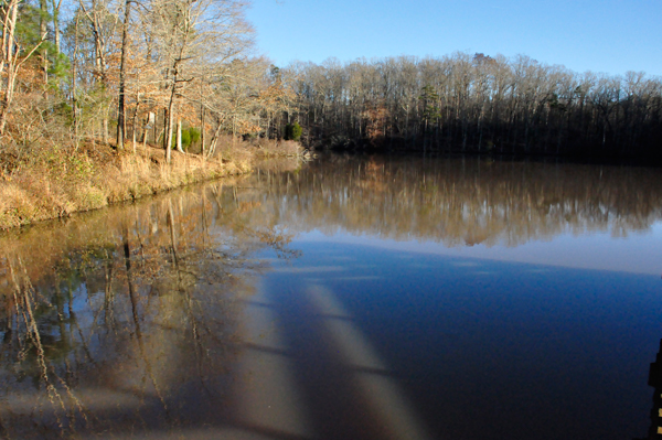 Lake Haigler at Scoville Dock