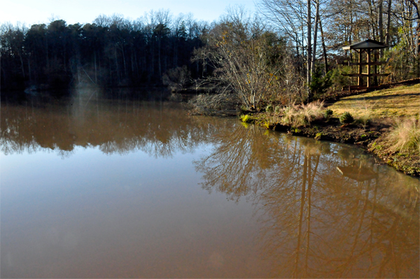 Lake Haigler at Scoville Dock