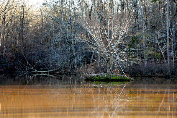 Lake Haigler 