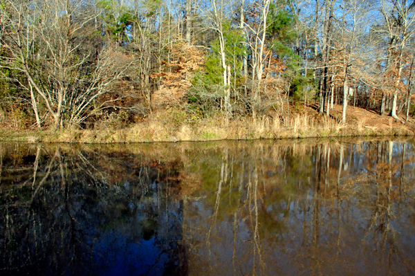 Lake Haigler at Scoville Dock