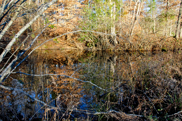 near Scoville Dock