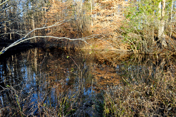 near Scoville Dock