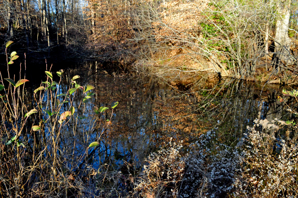 near Scoville Dock