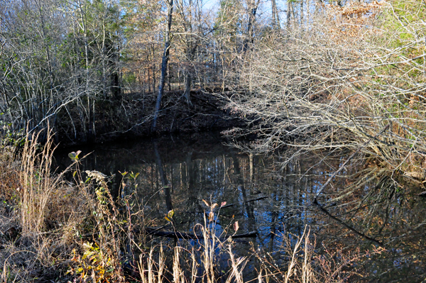 near Scoville Dock