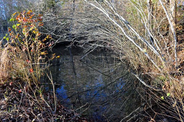 near Scoville Dock