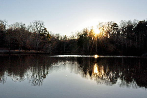 sun reflections on Lake Haigler