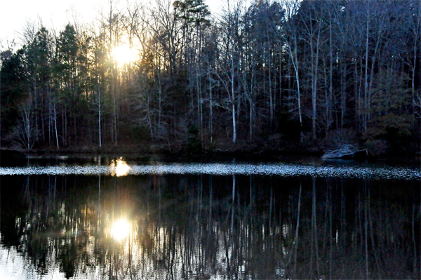 sun reflections on Lake Haigler