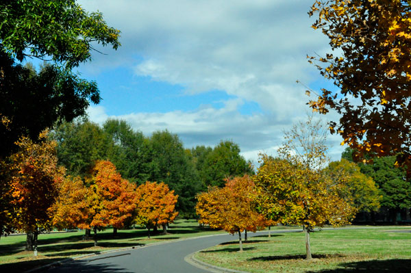 fall foliage in SC 2018