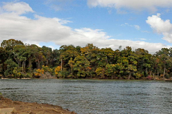 fall foliage by The Pump House