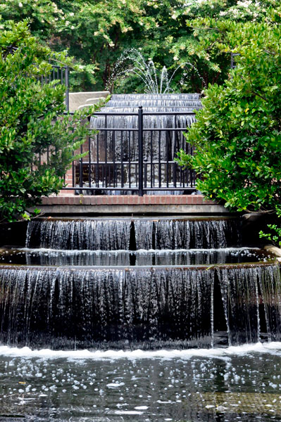 pond and waterfall in Glencairn Garden