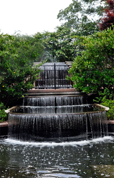 pond and waterfall in Glencairn Garden