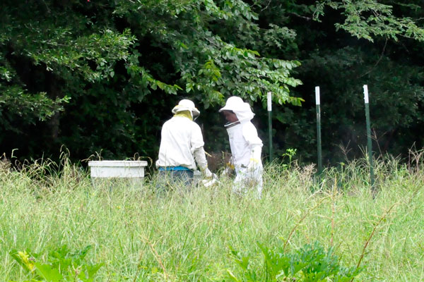 Gabby and Lou at the bee hives