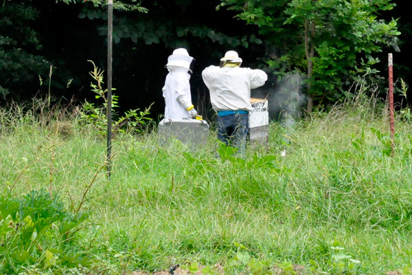 Gabby and Lou at the bee hives