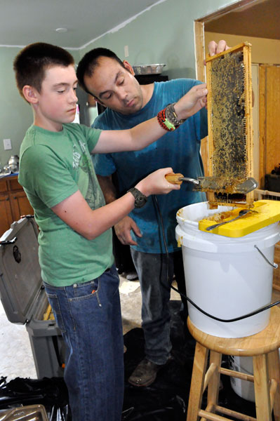 scraping the honey