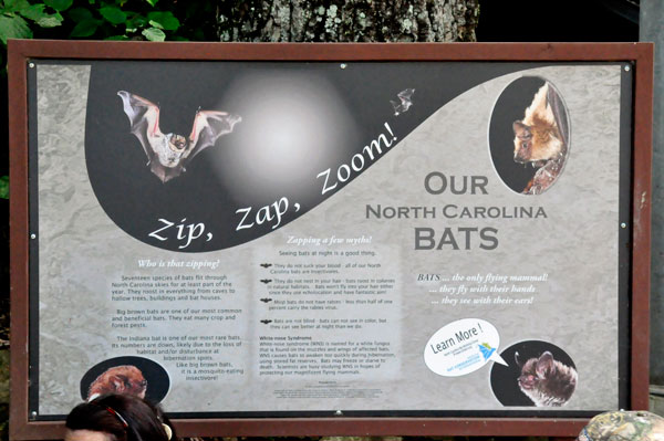 sign about bats