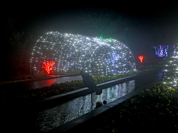 lighted overhead arch