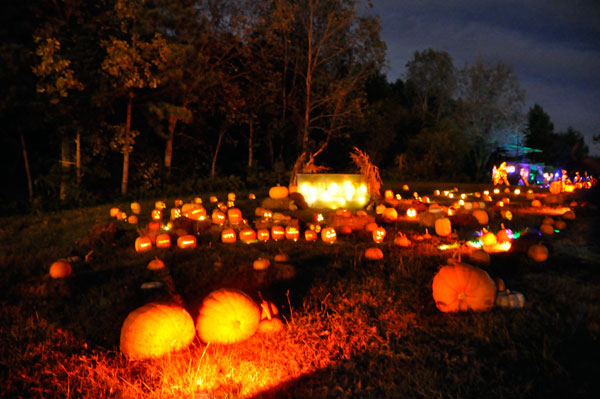 first pumpkin patch