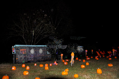 carved pumpkins