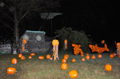 carved pumpkins