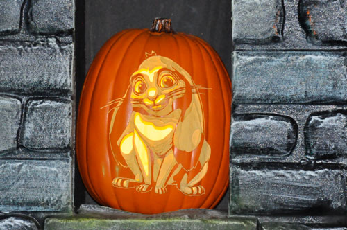 carved pumpkin in a window