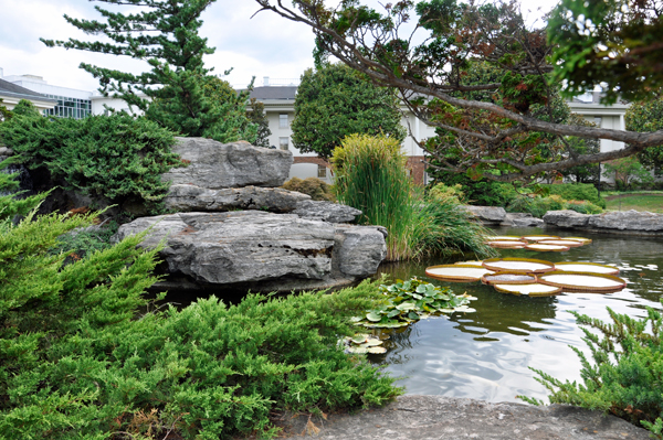 pond outside the Gaylord Opryland Hotel