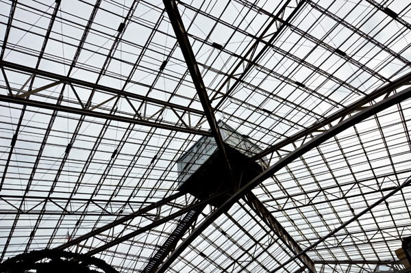 looking up at a shed