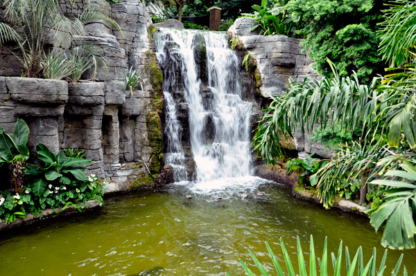 waterfall and big fish inside the Gaylord Opryland Hotel