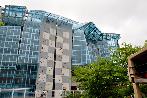 A rock climbing wall 