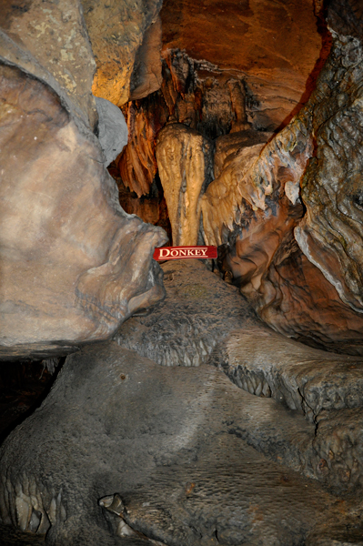 Donkey in Ruby Falls