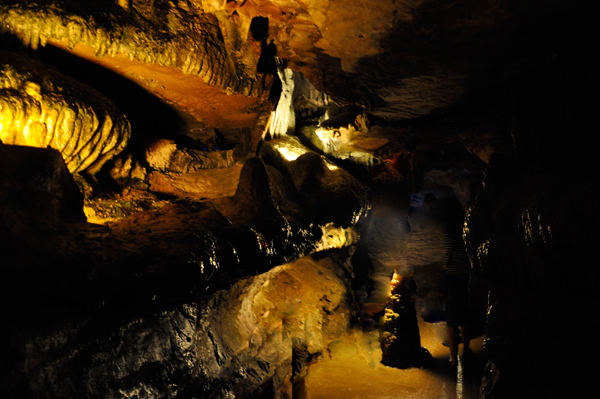 Onyx Jungle formation inside Ruby Falls