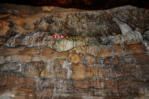 fish formation inside Ruby Falls