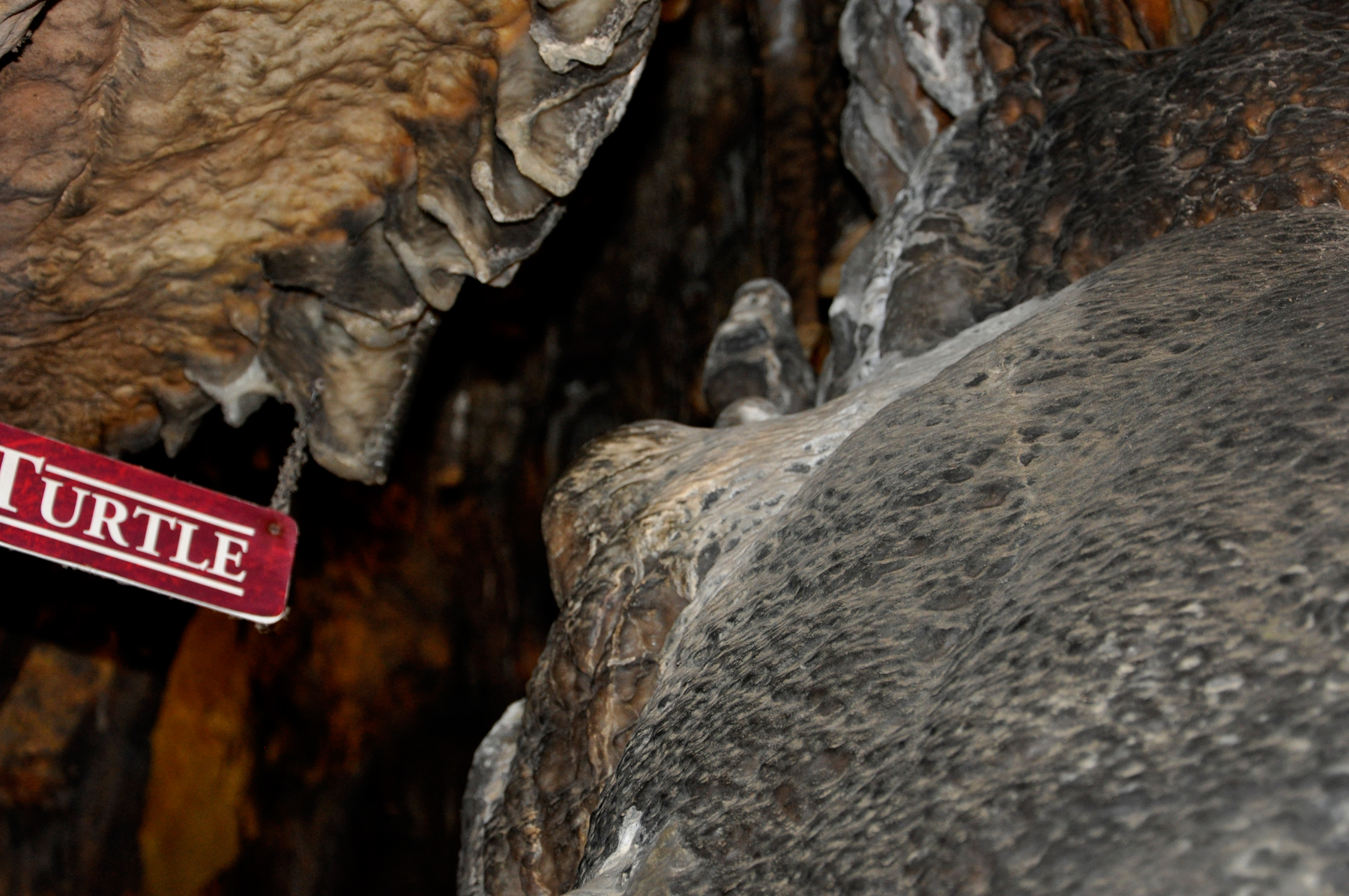 turtle formation inside Ruby Falls