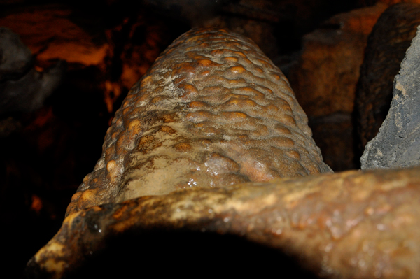 beehive formation inside Ruby Falls