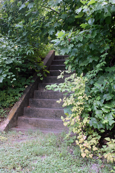 Ilse likes to photograph stairs.