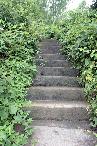 Ilse likes to photograph stairs.