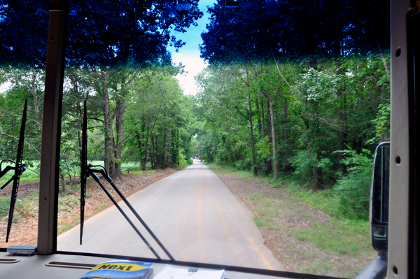 Road leading to the campground