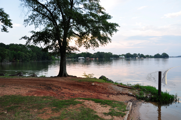 the beach at Wheeler Lake