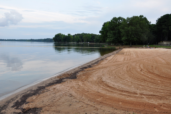 the beach at Wheeler Lake