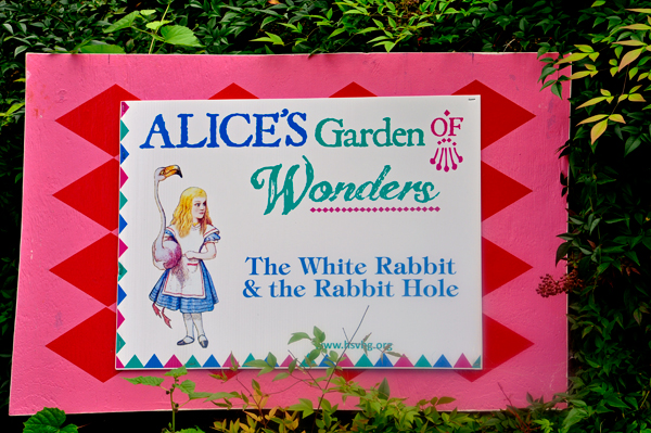 White Rabbit  and the Rabbit Hole sign