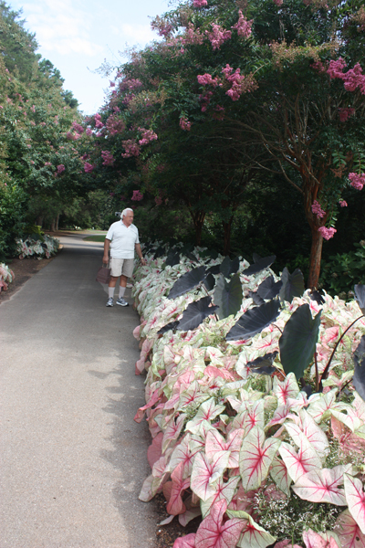 Lee Duquette at Huntsville Botanical Gardens