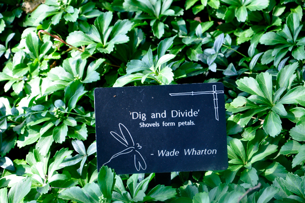 sign - dig and divide