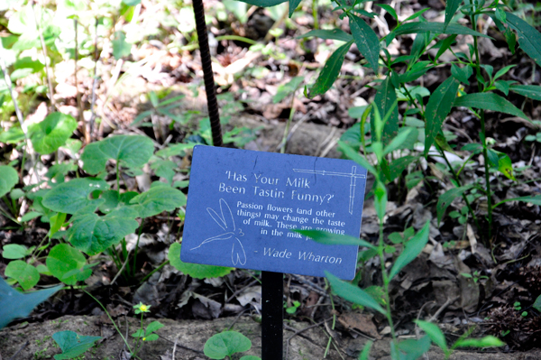 sign for milk flowers