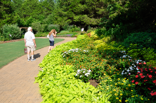 Lee Duquette in The Garden of Hope